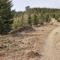 Wir sehen bereits unser Ziel - die Türme