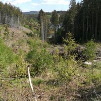 Von der Remptendorfer Bucht nach Isabellengrün