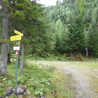 beim Wegweiser "am Steinalpl" links