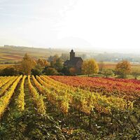 Nikolauskapelle mit Weinbergen am Kapellenpilgerweg