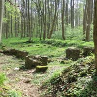 Elmsburg
