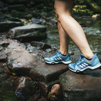 Unterwegs durch das Monbachtal