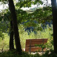 Waldsofa am Wegesrand