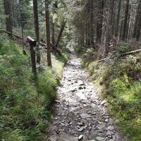 Trial runter über Bachbett-ähnlichem Schotter