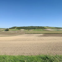 Blick auf den Wartberg, Schönkirchen-Reyersdorf, Weidenbachrunde
