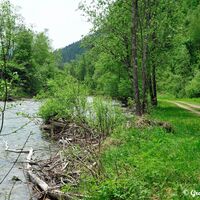 Wo Natur noch Natur sein darf