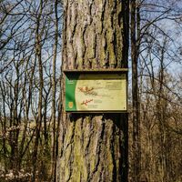 Waldlehrpfad Crailsheim