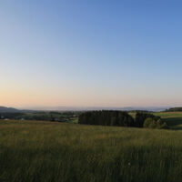 Sanfte Wiesen mit Alpenblick