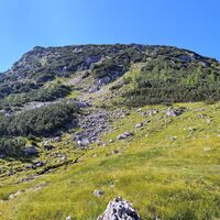 Im Sattel  südlich halten und diesen Rücken hoch