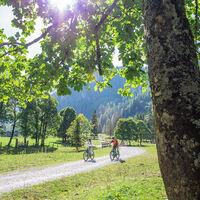 Mit dem Bike im wunderschönen Marbachtal