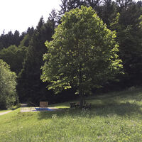 Wassertretstelle Bad Rippoldsau