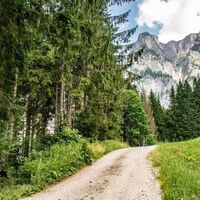 Hier biegen wir links in den Wald ab