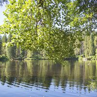 Blick auf Mathisleweiher