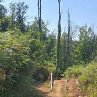 15.2 km Sprungschanze mit Chicken line