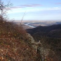 am Hang südseitig zur Hirschwand