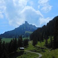 Planken - Feldkirch
