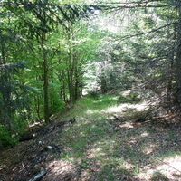 nach dem Wittenbachberg