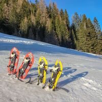 Cioss Prato, Bedrettotal