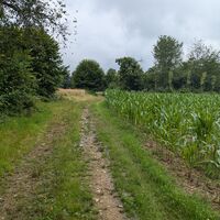 Pfad zwischen den Feldern in San Martino