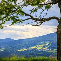 Tannhof mit Blick auf St.Corona