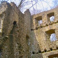 Burgruine Freudenkoppe