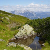landschaftlich besondere Fleckerl...