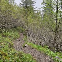 Wanderung