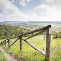 Orchideenpfad Gersheim