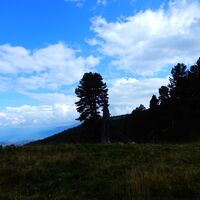 Judenburg - Ghf. Reiterbauer - Schmelz - Winterleitenhütte - Sabathyhütte
