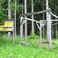 Pilzerlebnispfad Spielgeräte