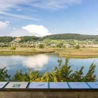 klingnauer-stausee-aussicht
