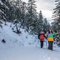 Auf dem tiefverschneitem Forstweg