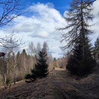 Rückblick - Wegverlauf: kommend mittig und im Aufstiegssinn (Bild rechts) scharf links auf Weg Nr. 15 abbiegen