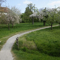 Prälatenweg an der Basilika Birnau