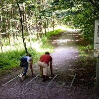 Station 25: Parcours der Langsamkeit - Cool down