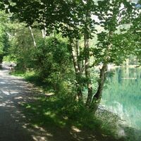 Radweg entlang des Ufers des Leopoldsteinersees