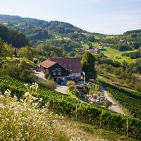 Schlafen im Weinfass