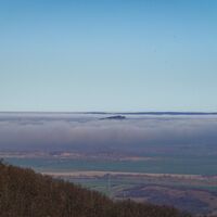 Ausblick von der Lauenburg (Regenstein im Frühnebel)