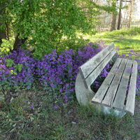 Wandertour "Achimer Höhen und Tiefen"