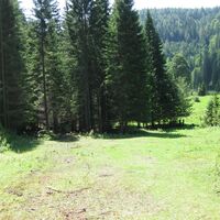 Aufstieg zur Brachalm