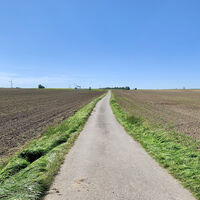 Schönkirchen-Reyersdorf, Weidenbachrunde