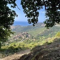 Weg 9 : Giru di u Capu Curbinu
