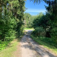 Weg zum Steinbruch
