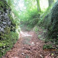 Historischer Hohlweg, künstlich angelegte alte Wegverbindung von West nach Ost über den Teutoburger Wald  