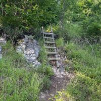 L3 Rinnerberger Trail