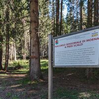 Sinnesweg Schlamm ©Archivio APT Val di Fassa