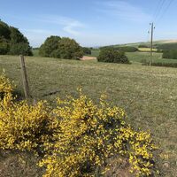 Blick zum Reiserberg