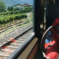 Im Zug nach Leuk