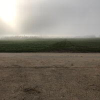 Der Wiesenweg kurz vor Hertighofen