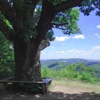 Ausblick am Großen Drachenstein